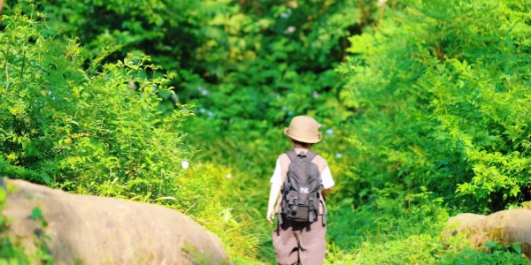 1751010778846212.jpg 18011750926938_.pic_副本.jpg